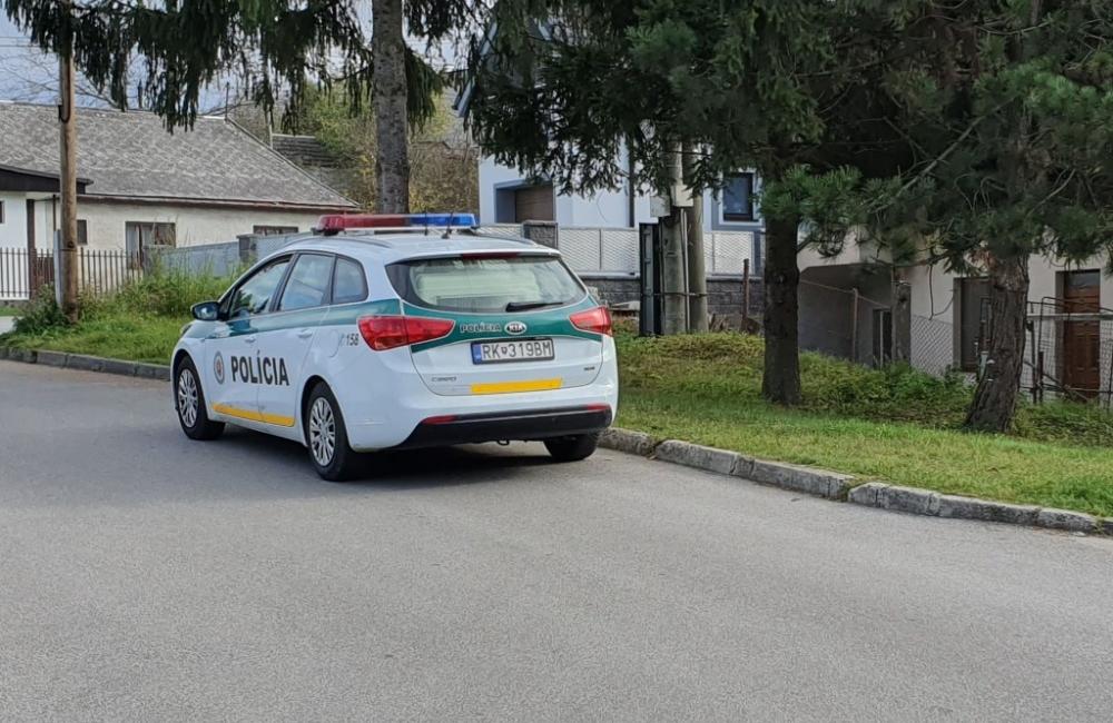 Policajná razia na ulici Vysokoškolákov a v mestskej časti Rosinky - 30.10.2019, foto 8