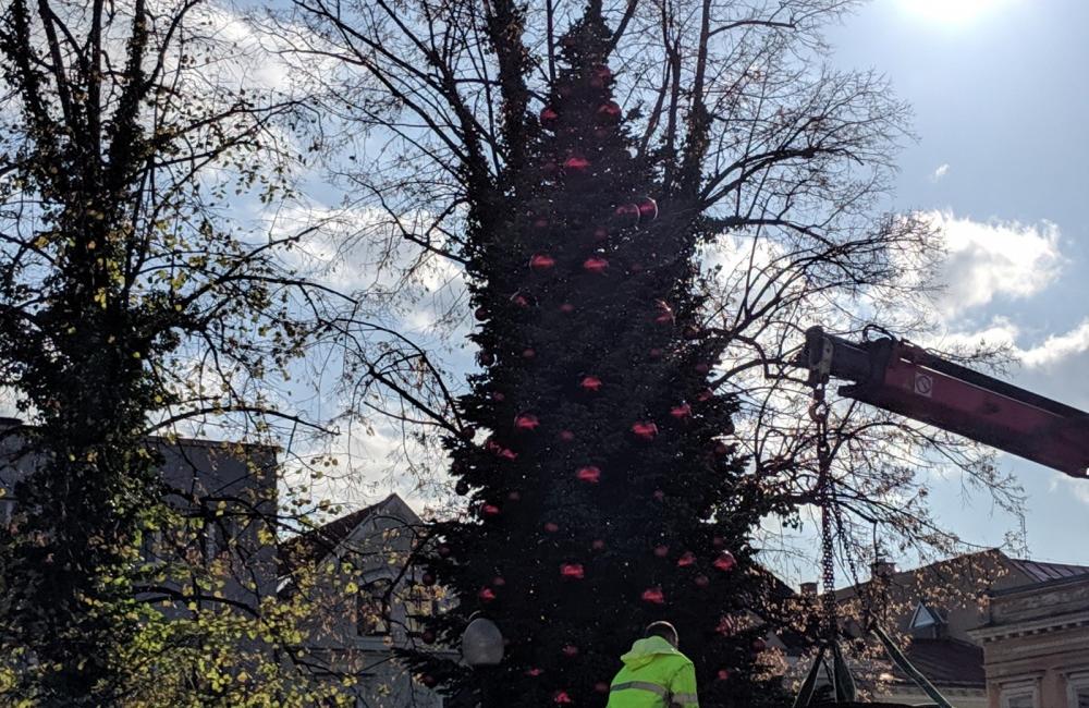 FOTO: Na Mariánskom námestí už pripravujú stánky a zdobia vianočný stromček, foto 4