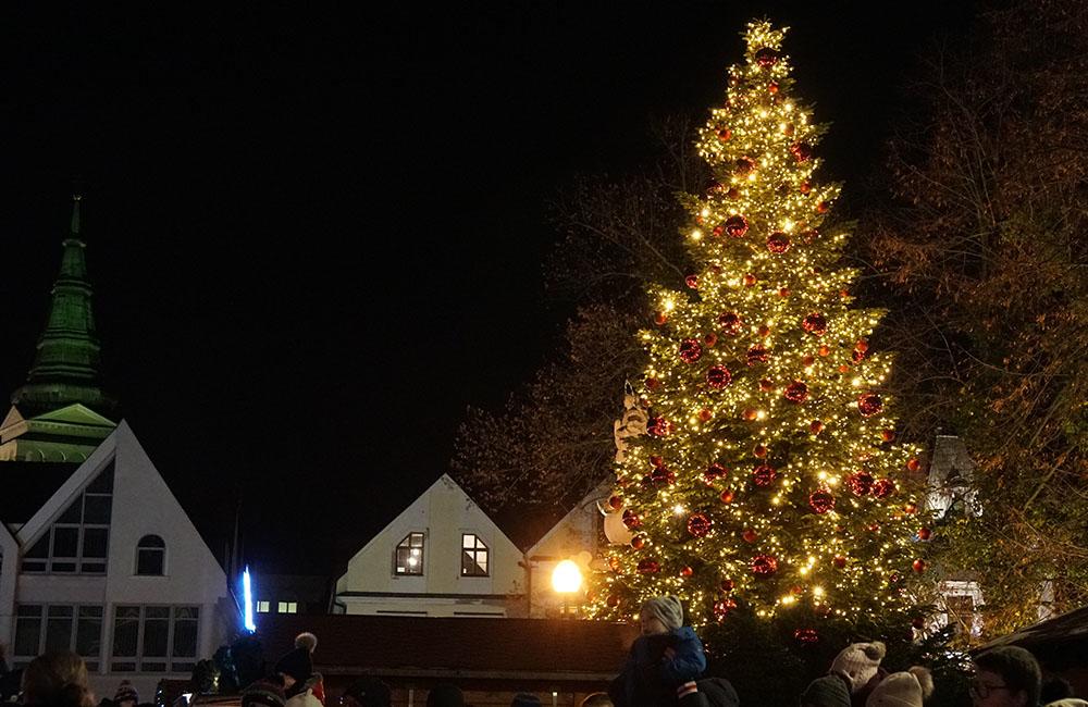 FOTO: Do Žiliny zavítal Mikuláš, deťom rozdával sladkosti a rozsvietil vianočný stromček, foto 11