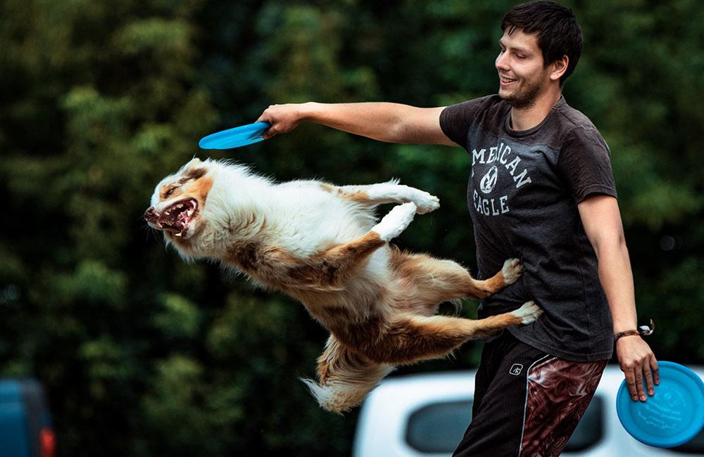 Vicemajstri sveta v DogFrisbee Patrik Szőcs a jeho austrálsky ovčiak Darty, foto 4