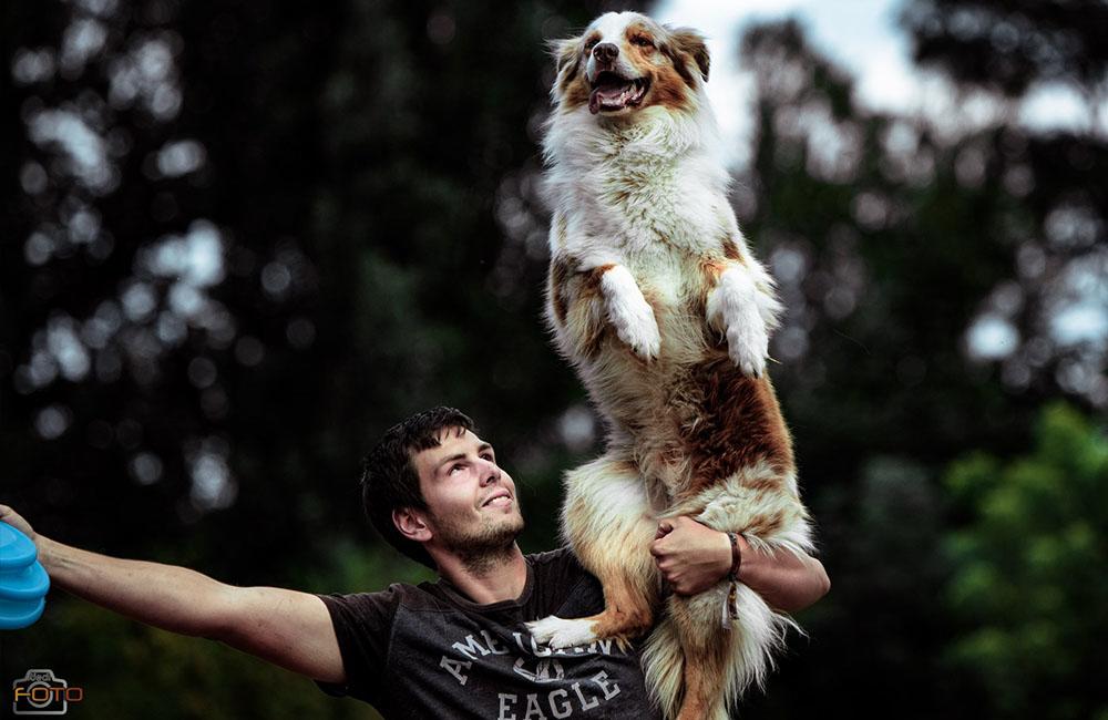 Vicemajstri sveta v DogFrisbee Patrik Szőcs a jeho austrálsky ovčiak Darty, foto 5