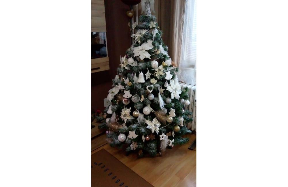 FOTO: Galéria vianočných stromčekov zo Žiliny od našich čitateľov, foto 3