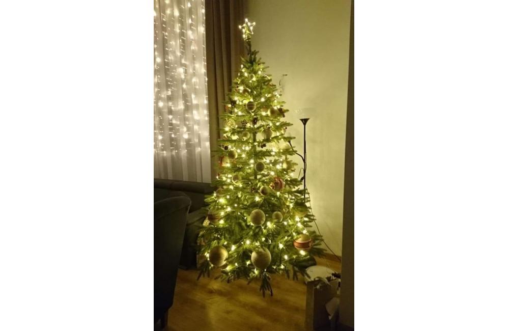 FOTO: Galéria vianočných stromčekov zo Žiliny od našich čitateľov, foto 8
