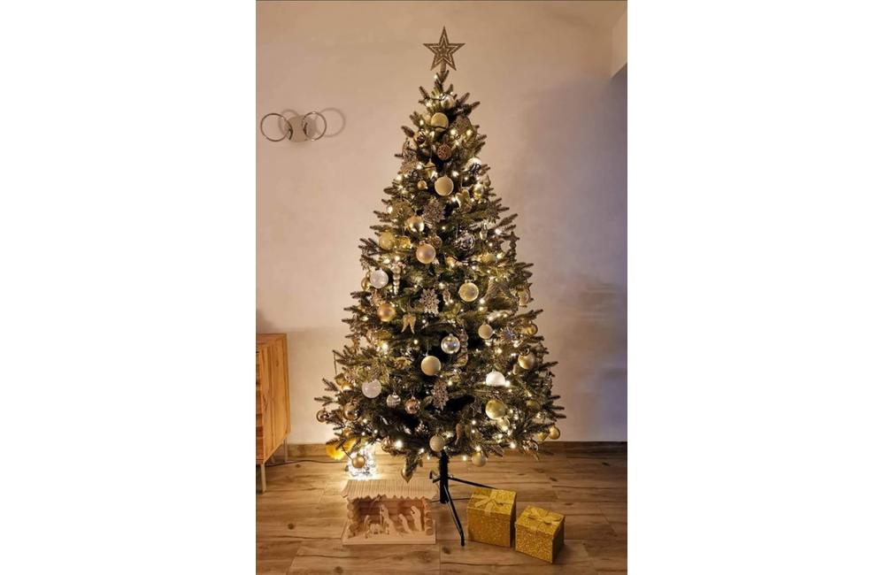 FOTO: Galéria vianočných stromčekov zo Žiliny od našich čitateľov, foto 9