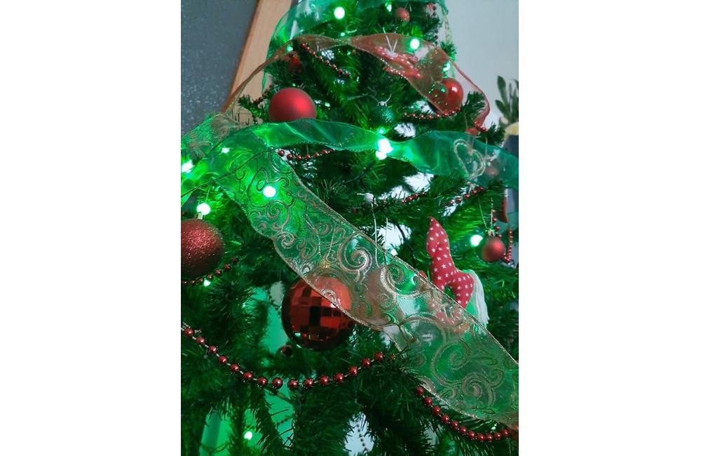 FOTO: Galéria vianočných stromčekov zo Žiliny od našich čitateľov, foto 10