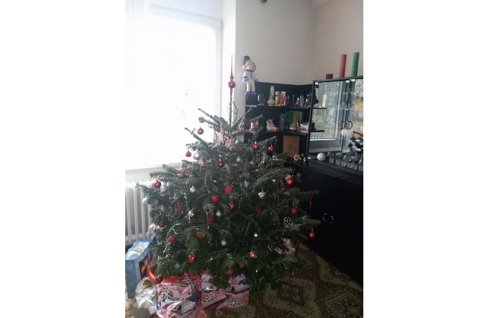 FOTO: Galéria vianočných stromčekov zo Žiliny od našich čitateľov, foto 11