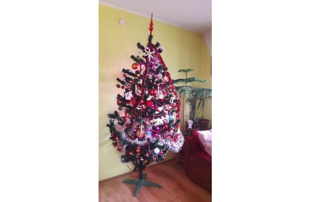 FOTO: Galéria vianočných stromčekov zo Žiliny od našich čitateľov, foto 16