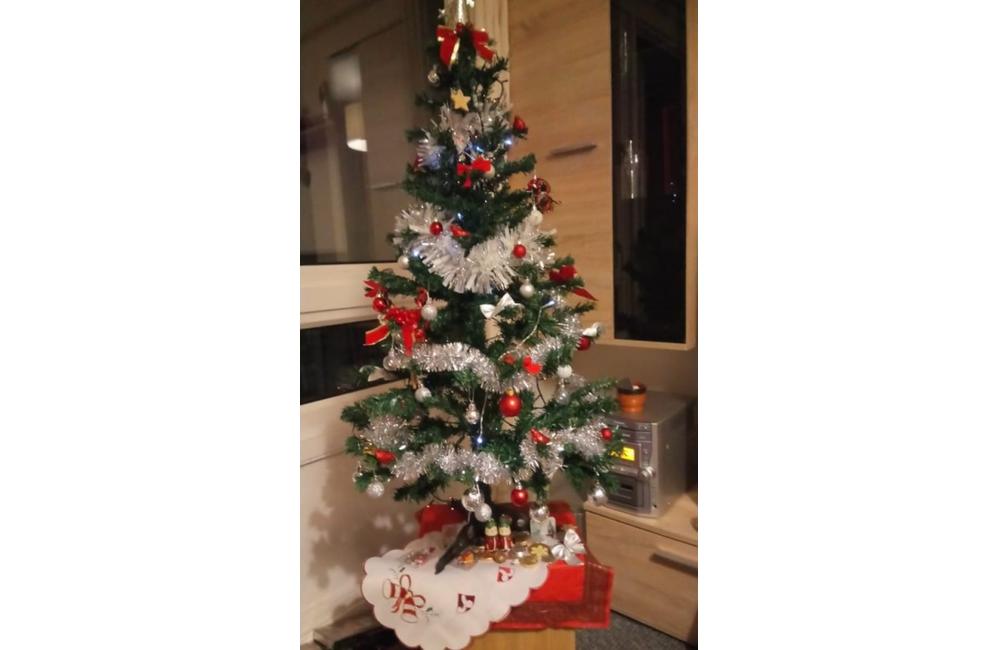FOTO: Galéria vianočných stromčekov zo Žiliny od našich čitateľov, foto 22