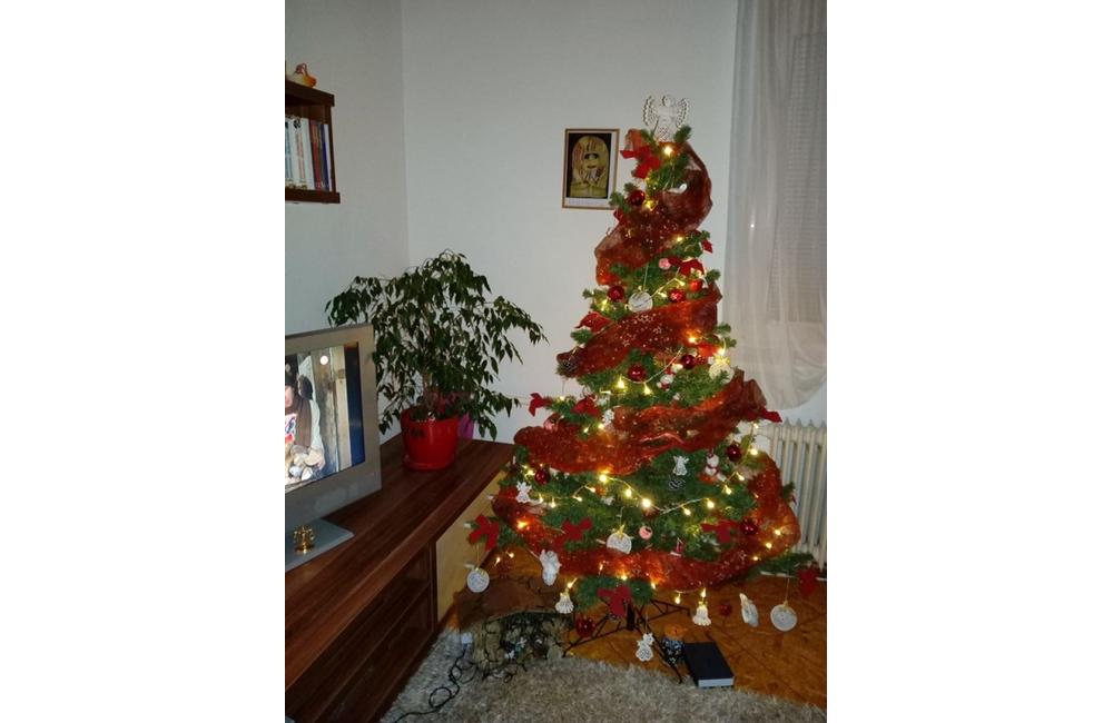 FOTO: Galéria vianočných stromčekov zo Žiliny od našich čitateľov, foto 23