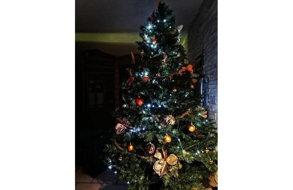 FOTO: Galéria vianočných stromčekov zo Žiliny od našich čitateľov, foto 24