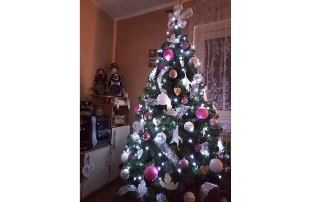 FOTO: Galéria vianočných stromčekov zo Žiliny od našich čitateľov, foto 25