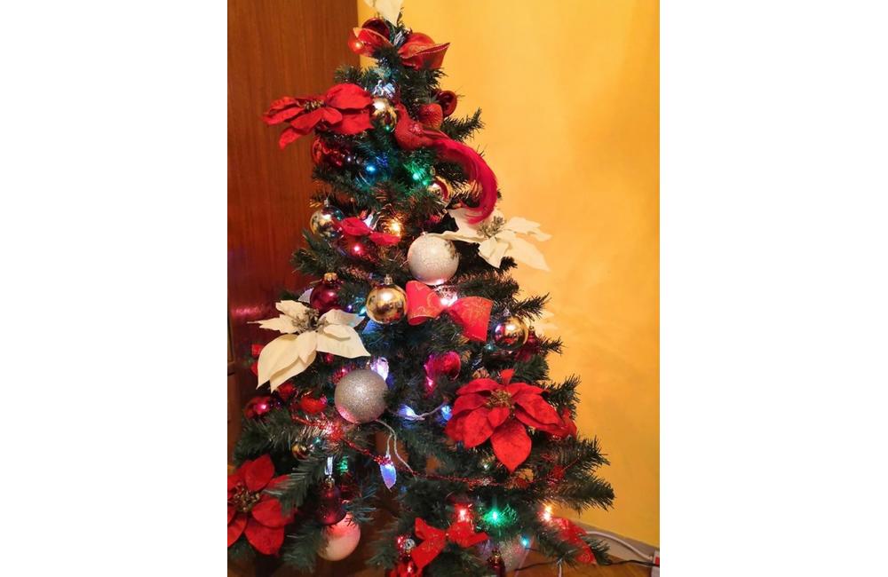 FOTO: Galéria vianočných stromčekov zo Žiliny od našich čitateľov, foto 26