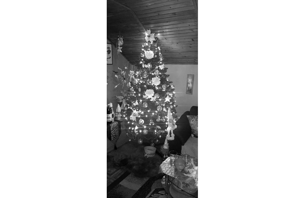 FOTO: Galéria vianočných stromčekov zo Žiliny od našich čitateľov, foto 29