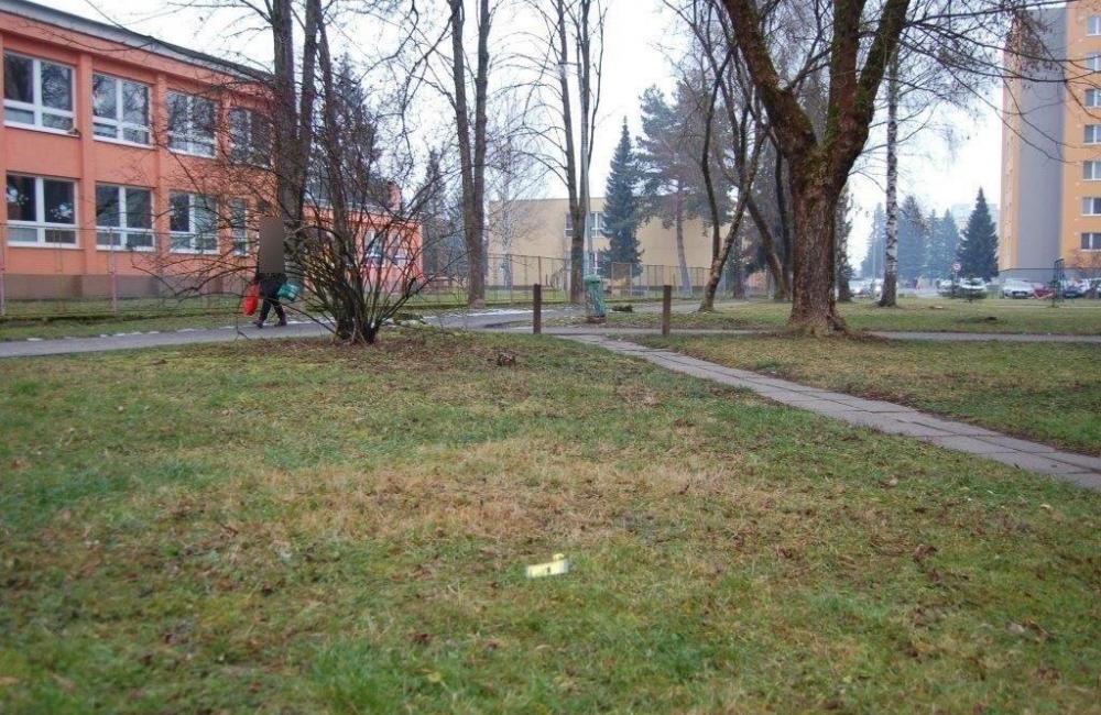 Úspešná akcia žilinských policajtov, v putách skončil 27-ročný drogový díler, foto 1