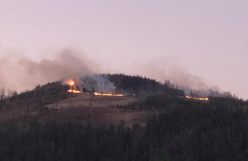 Nad Považským Chlmcom došlo k požiaru lesa a trávy, foto 1