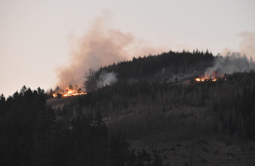 Nad Považským Chlmcom došlo k požiaru lesa a trávy, foto 6