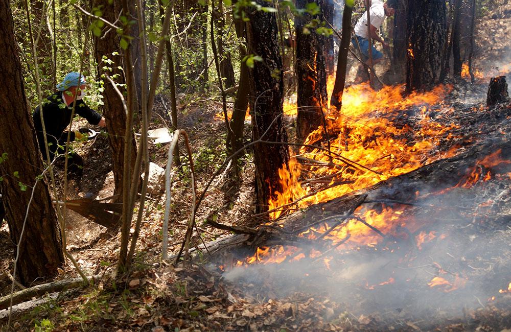 FOTO: Pri Rajeckých Tepliciach horí les, hasiči zasahujú v strmom teréne, foto 4