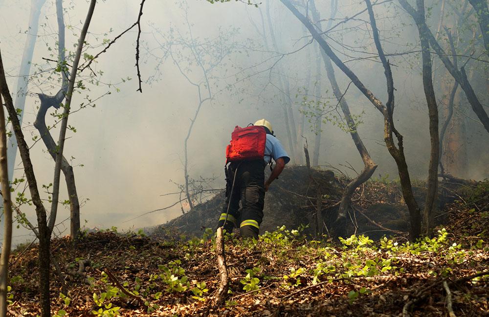 FOTO: Pri Rajeckých Tepliciach horí les, hasiči zasahujú v strmom teréne, foto 3