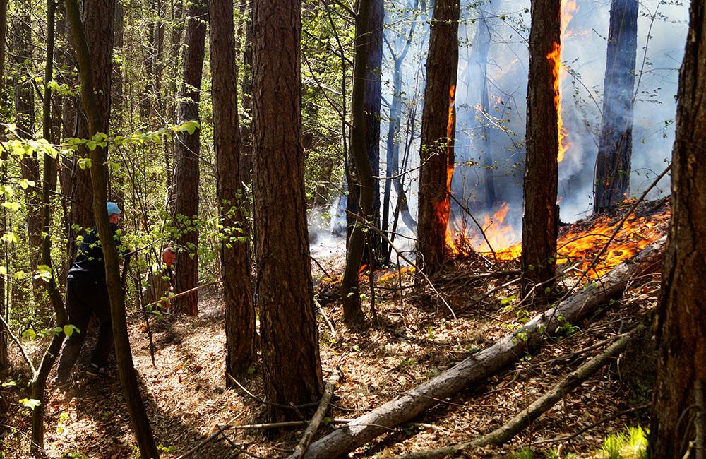 FOTO: Pri Rajeckých Tepliciach horí les, hasiči zasahujú v strmom teréne, foto 6
