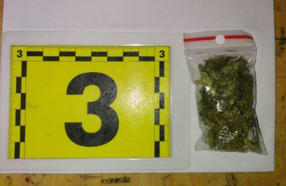 FOTO: Úspešná akcia žilinskej polície, 22-ročnému mužovi našli doma drogy, foto 5