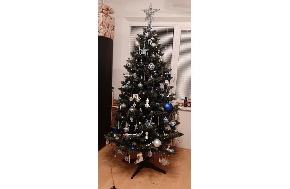 FOTO: Vianočné stromčeky v Žiline - výber fotografií našich čitateľov, foto 11