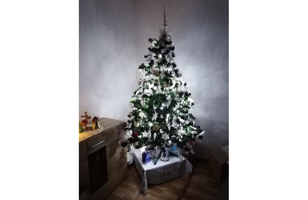 FOTO: Vianočné stromčeky v Žiline - výber fotografií našich čitateľov, foto 30