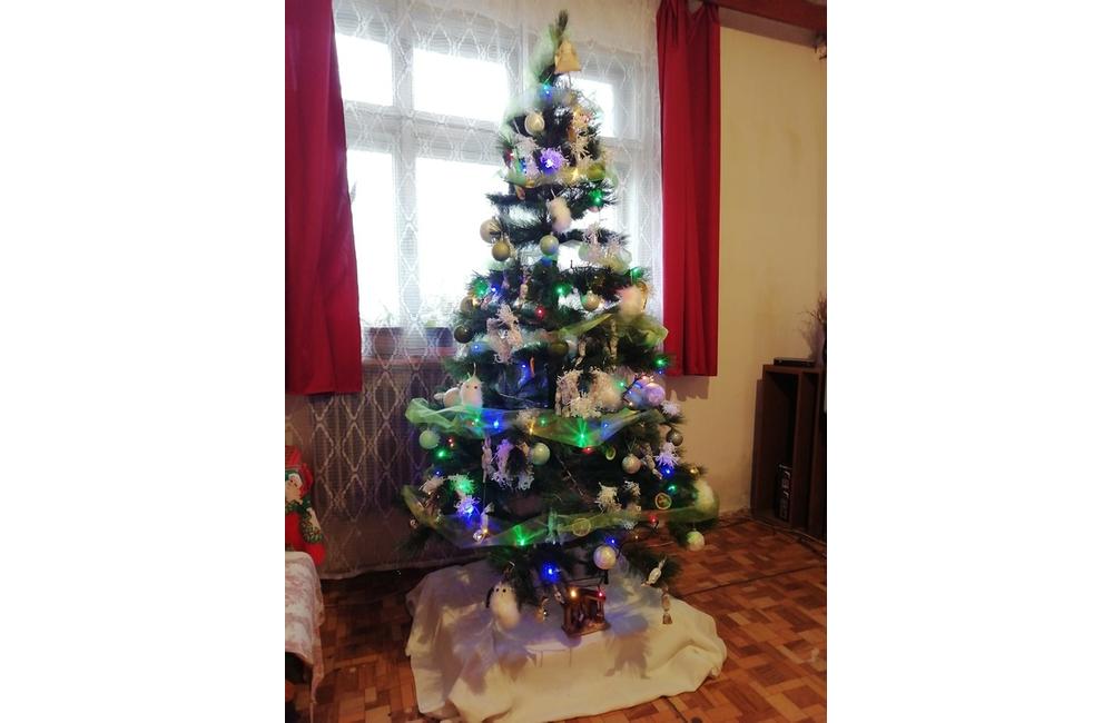 FOTO: Vianočné stromčeky v Žiline - výber fotografií našich čitateľov, foto 44