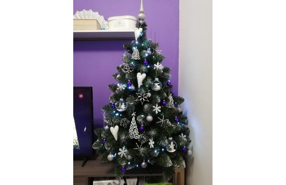 FOTO: Vianočné stromčeky v Žiline - výber fotografií našich čitateľov, foto 47