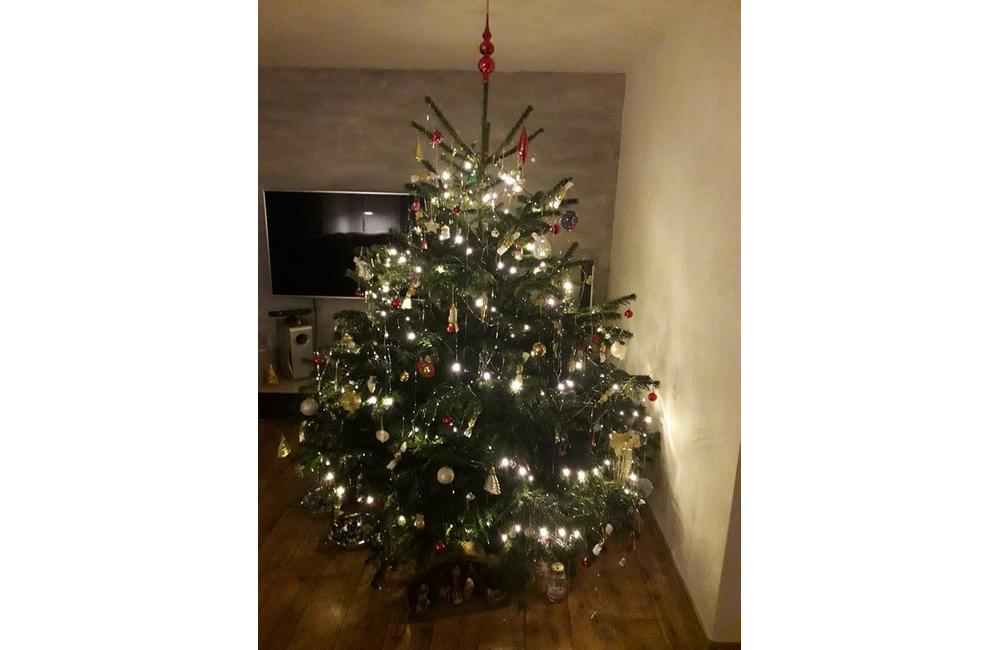 FOTO: Vianočné stromčeky v Žiline - výber fotografií našich čitateľov, foto 52