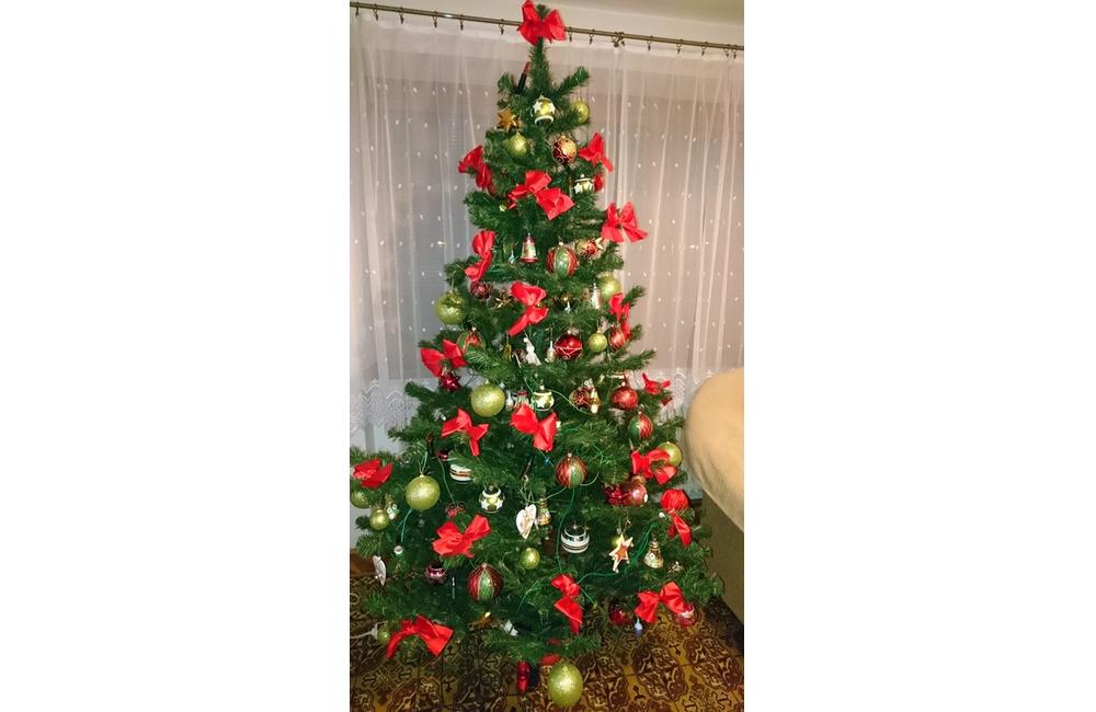 FOTO: Vianočné stromčeky v Žiline - výber fotografií našich čitateľov, foto 53