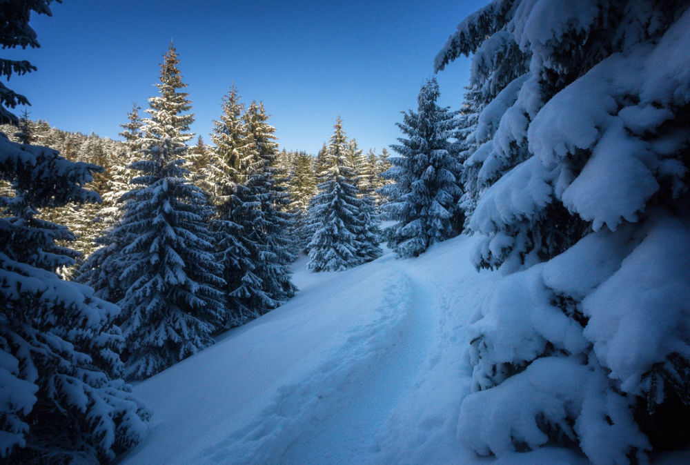FOTO: Nočná a zasnežená Malá Fatra očami Patrika Vavroviča, foto 13
