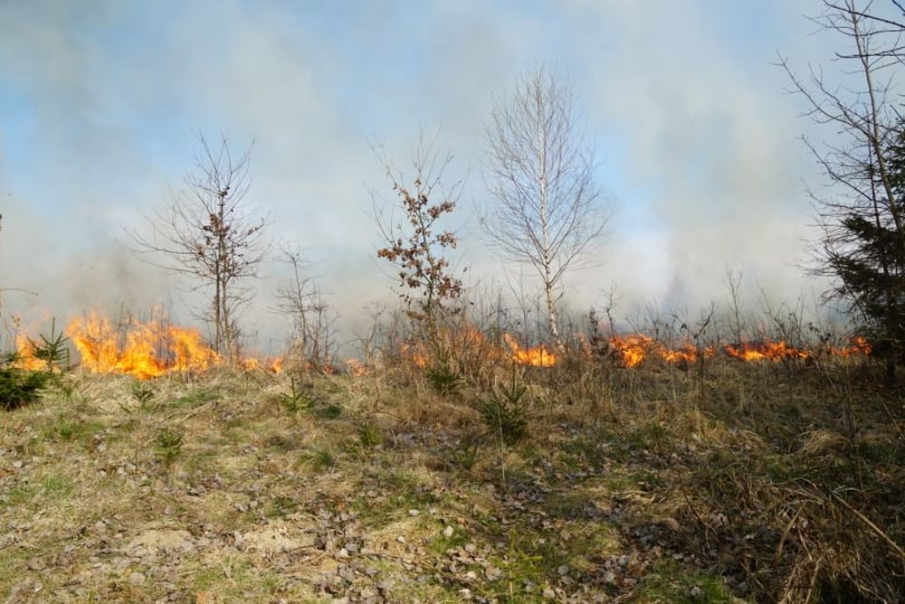 FOTO: Les medzi Rosinou a Trnovým je v plameňoch, zasahuje množstvo hasičov, foto 10