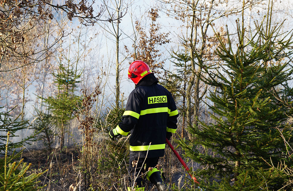 FOTO: Les medzi Rosinou a Trnovým je v plameňoch, zasahuje množstvo hasičov, foto 11