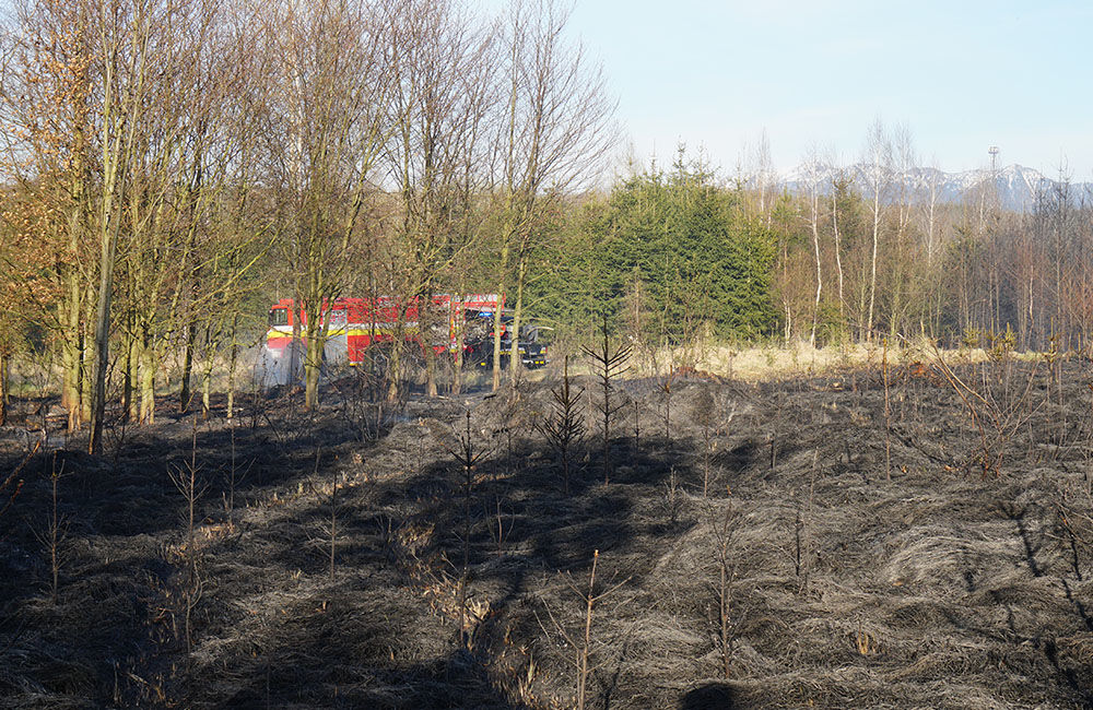 FOTO: Les medzi Rosinou a Trnovým je v plameňoch, zasahuje množstvo hasičov, foto 16