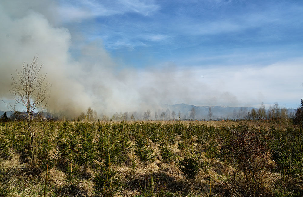 FOTO: Les medzi Rosinou a Trnovým je v plameňoch, zasahuje množstvo hasičov, foto 6