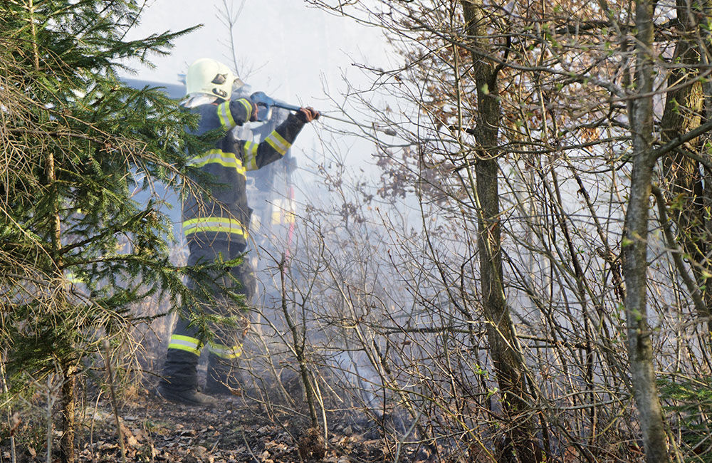 FOTO: Les medzi Rosinou a Trnovým je v plameňoch, zasahuje množstvo hasičov, foto 26