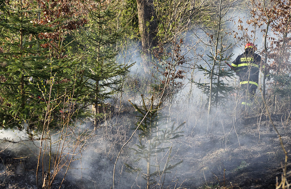 FOTO: Les medzi Rosinou a Trnovým je v plameňoch, zasahuje množstvo hasičov, foto 28