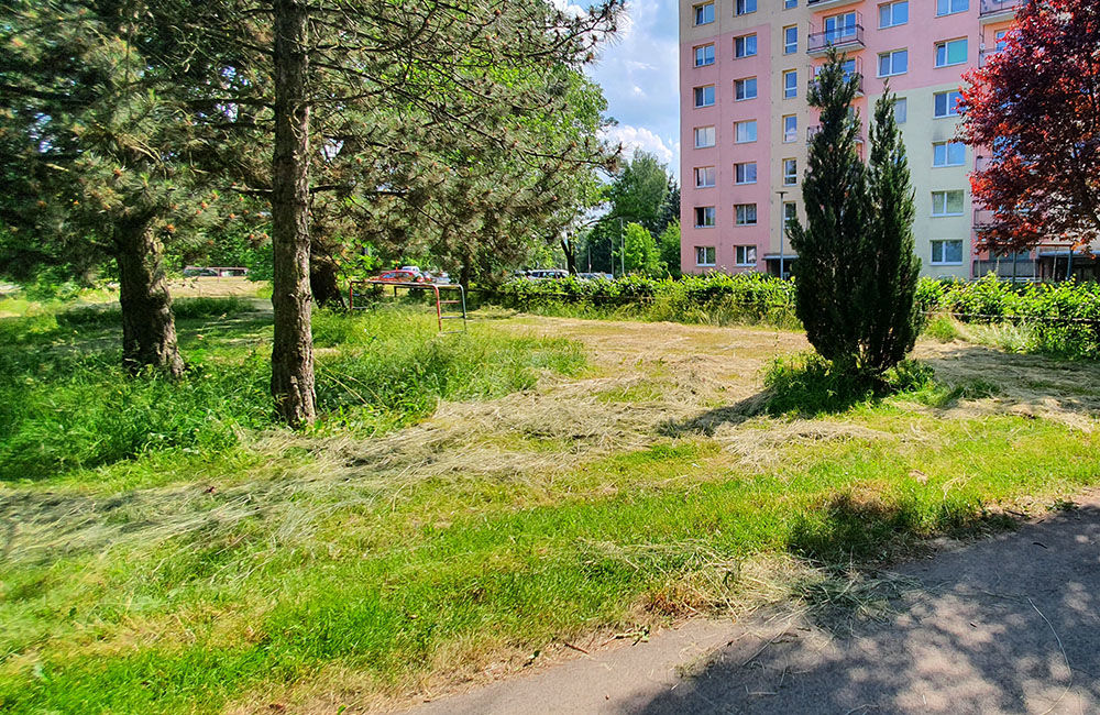 FOTO: Na sídlisku Vlčince a v mestskej časti Rosinky zostali nedokosené plochy, foto 5