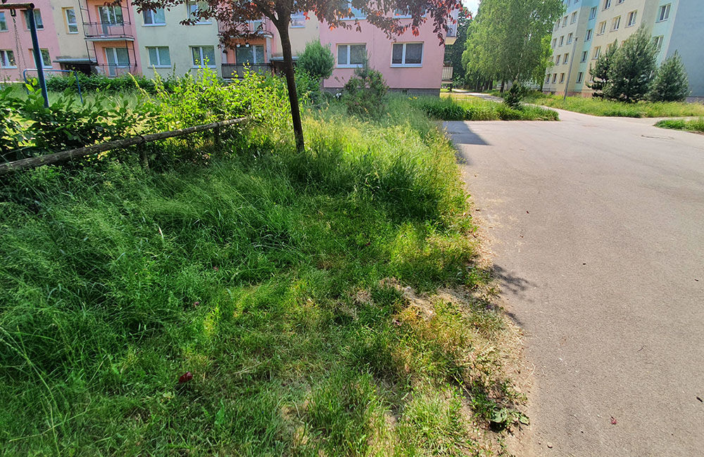 FOTO: Na sídlisku Vlčince a v mestskej časti Rosinky zostali nedokosené plochy, foto 4