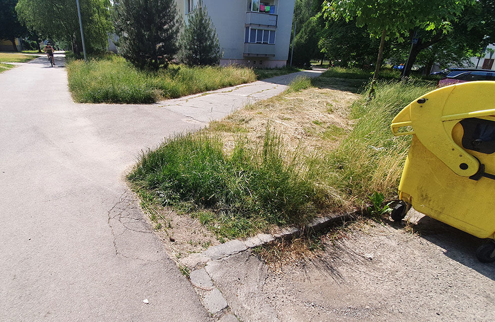 FOTO: Na sídlisku Vlčince a v mestskej časti Rosinky zostali nedokosené plochy, foto 2