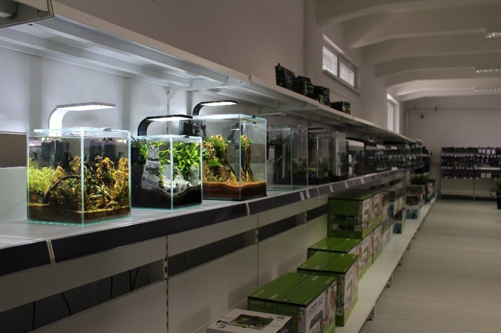FOTO: Najväčšia predajňa akvaristiky na Slovensku Shrimp.sk v Žiline, foto 1