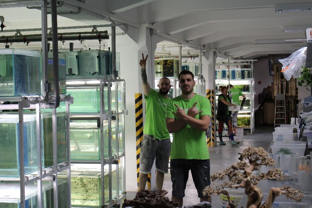 FOTO: Najväčšia predajňa akvaristiky na Slovensku Shrimp.sk v Žiline, foto 2