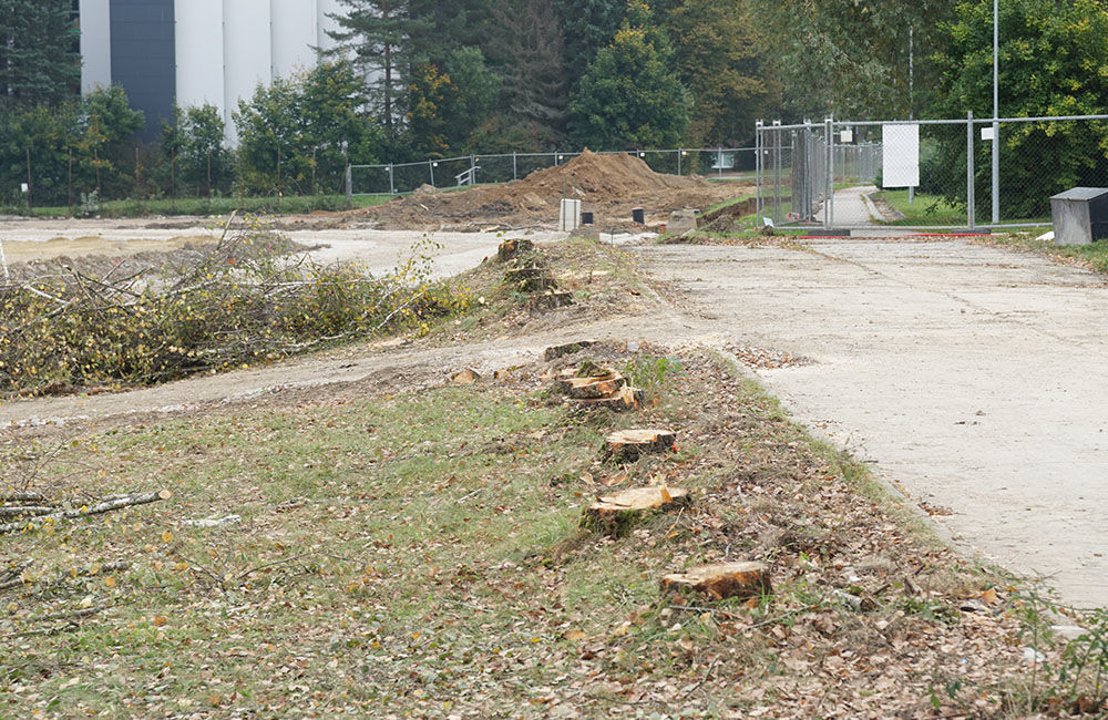 FOTO: Pri revitalizácii atletického areálu univerzity odstránili stromoradie s brezami, foto 5
