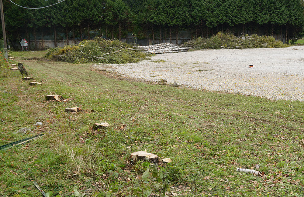 FOTO: Pri revitalizácii atletického areálu univerzity odstránili stromoradie s brezami, foto 9