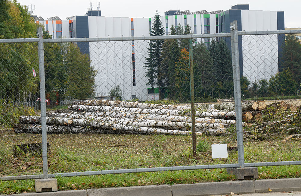 FOTO: Pri revitalizácii atletického areálu univerzity odstránili stromoradie s brezami, foto 10