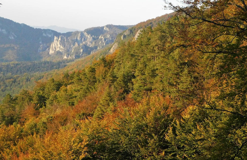 FOTO: Výber jesenných fotografií zachytených čitateľmi v Žilinskom kraji, foto 6