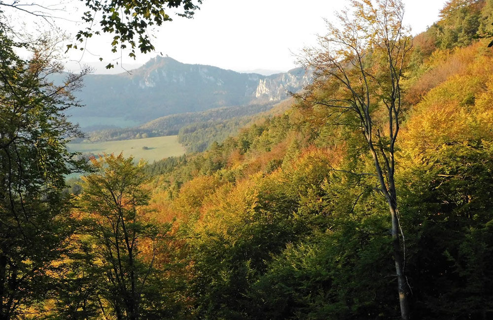 FOTO: Výber jesenných fotografií zachytených čitateľmi v Žilinskom kraji, foto 7