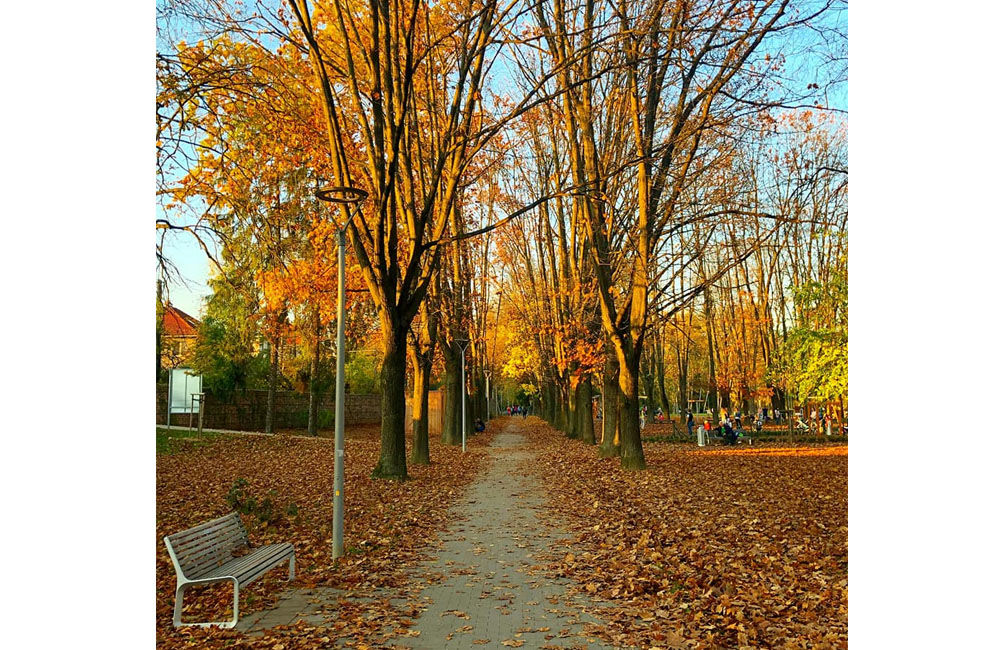 FOTO: Výber jesenných fotografií zachytených čitateľmi v Žilinskom kraji, foto 12