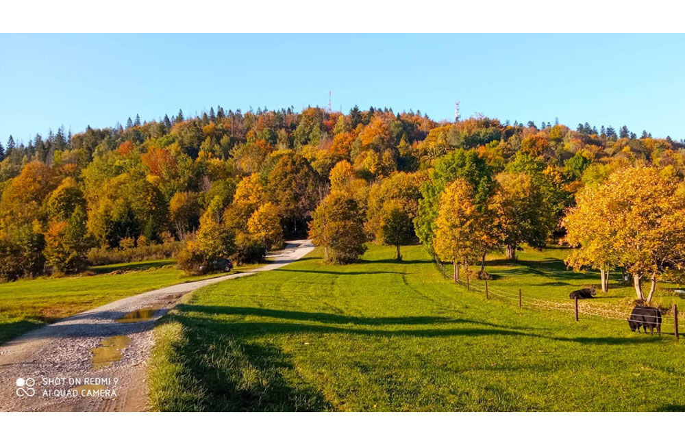 FOTO: Výber jesenných fotografií zachytených čitateľmi v Žilinskom kraji, foto 44