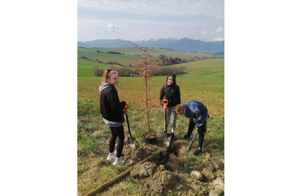FOTO: V aleji od Žiaru po Veternú Porubu vysadili žiaci z Liptovského Mikuláša desiatky nových stromov, foto 2